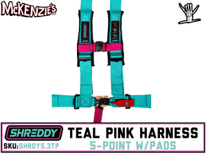 Shreddy 5.3 Harness Teal & Pink | Bolt-in w/Pads | PRP SHRDY5.3TP