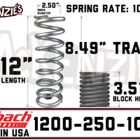 Eibach 1200-250-100S