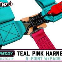 Shreddy 5.3 Harness Teal & Pink | Bolt-in w/Pads | PRP SHRDY5.3TP