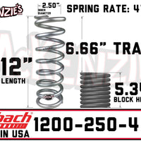 Eibach 1200-250-475S