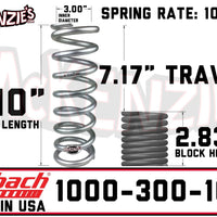 Eibach 1000-300-100S
