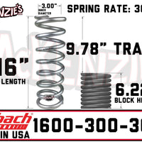 Eibach 1600-300-300S