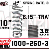 Eibach 1000-250-300S