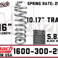 Eibach 1600-300-250S