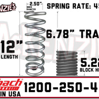 Eibach 1200-250-450S